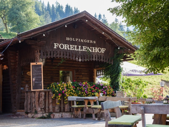 Gasthof Forellenhof - Laussa