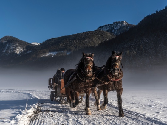 Pferdeschlittenfahrt Gosau