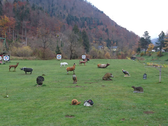 FITA/WA Outdooranlage in Bad Goisern am Hallstättersee