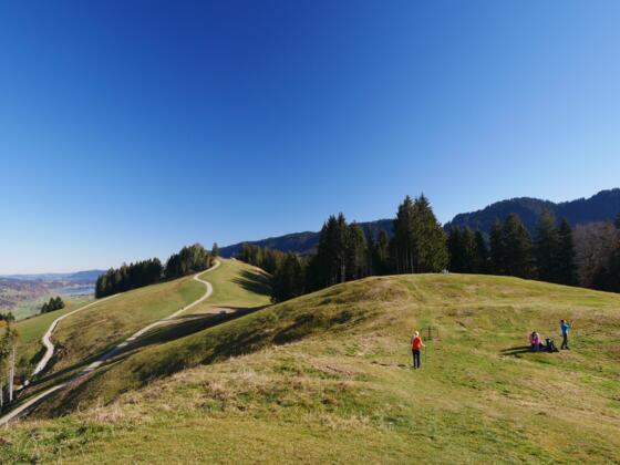 Die Landschaft rund um den Hündlekopf