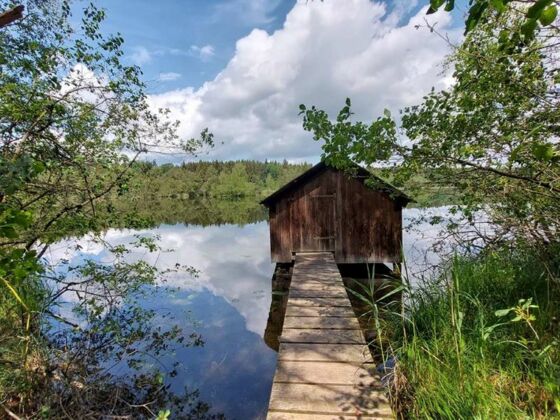 Kesselsee im Naturschutzgebiet