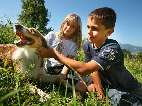 Tierarzt Eisl in Bad Goisern