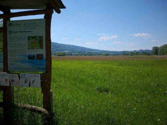 Naturschutzgebiet Auer Weidmoos bei Bad Feilnbach