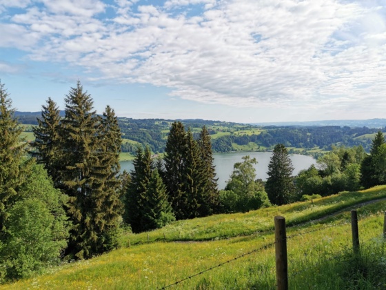 Schon nach wenigen Höhenmetern eröffnet sich der Blick zum Großen Alpsee