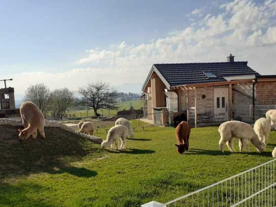 2020_Jausenstation_ Vitzal_Vitzthum