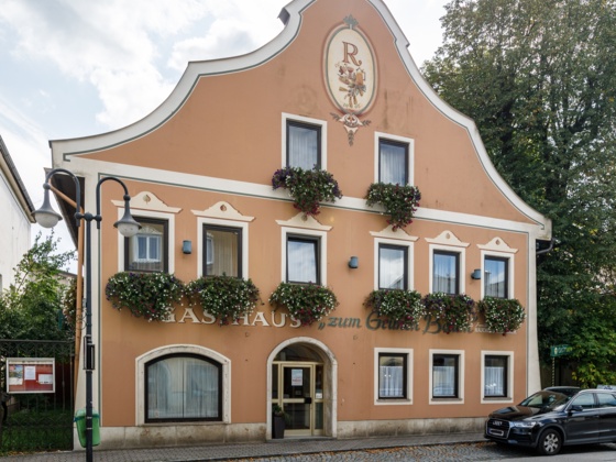 gh-zum-gr-nen-baum-180919-13-30-34