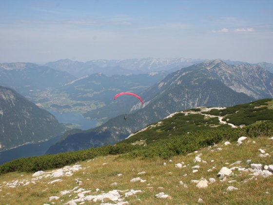 Paragleiter Krippenstein