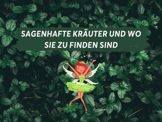 Sagenhafte Kräuter und wo sie zu finden sind
