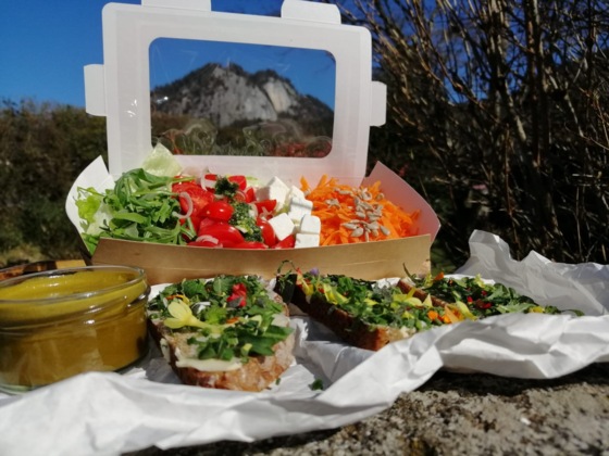 443da27a-5217-4efe-b1cb-43d57b9193c3