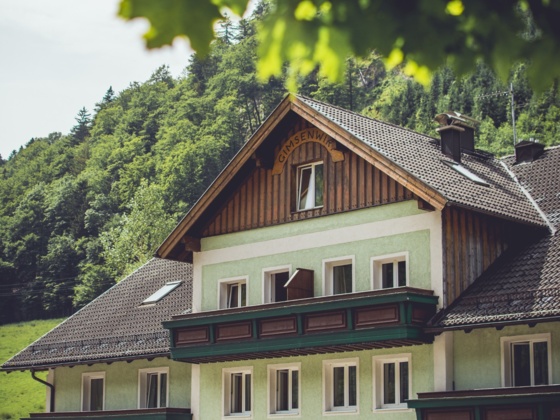 Gimsenwirt