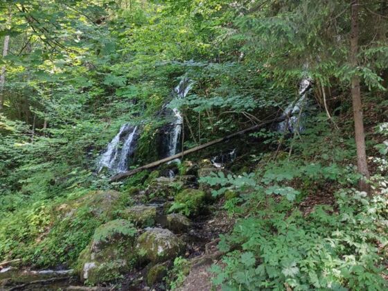 Hechtsee Abfluss