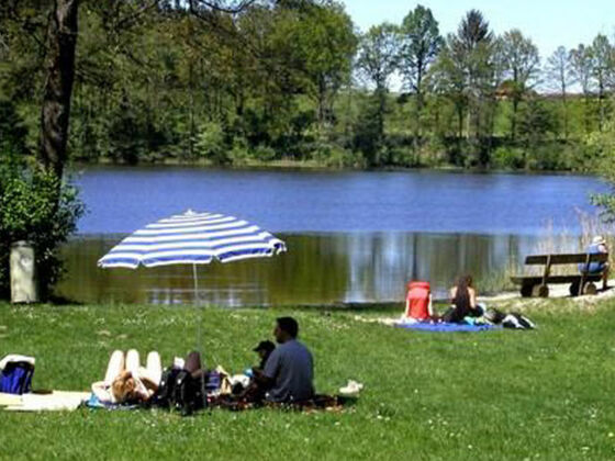Badeplatz mit großer Liegewiese am Rinsersee.