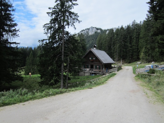 Roßmoosalm in Bad Goisern