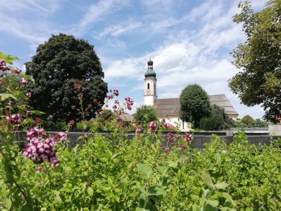 Kräuterpfad Lenggries mit Blick auf die Lenggrieser Pfarrkirche