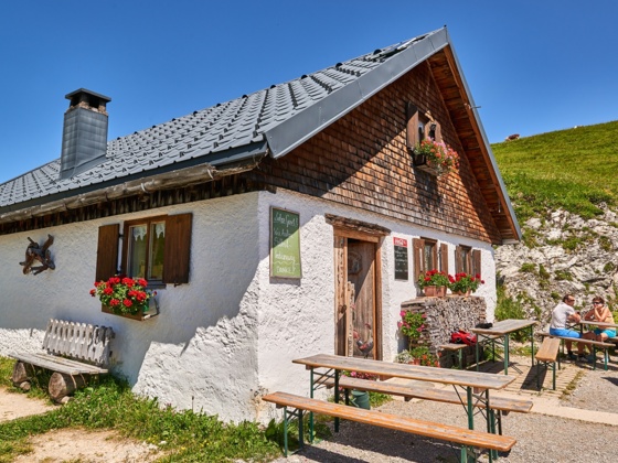graener-oedenalpe