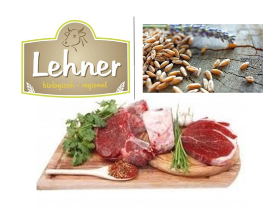 Lehner