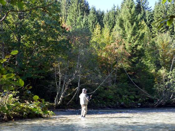 Vils-Ach-Bach-Tannheim-und-Fischwasser-Z-blen