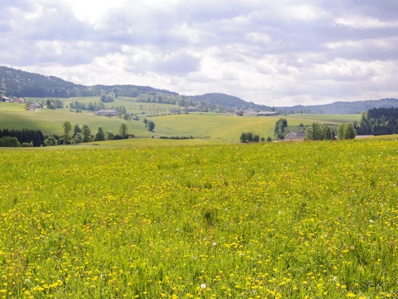 Herrliche Aussicht von der TraumArena