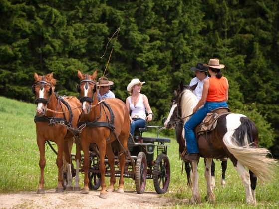 Reiten