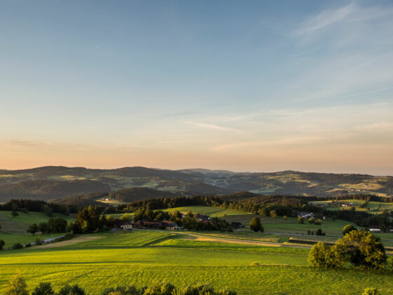 Muehlviertel-Landschaft_Oberoesterreich-Tourismus-GmbH_SusanneEinzenberger_NEU