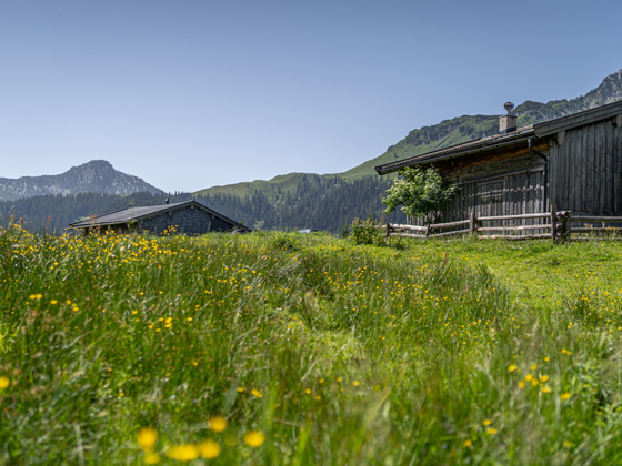 Kaser auf der Kammerlingalm