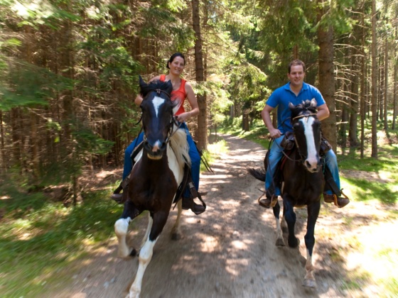 Reiten