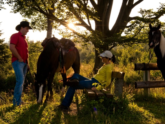 Reiten