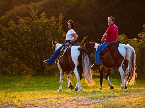 Reiten