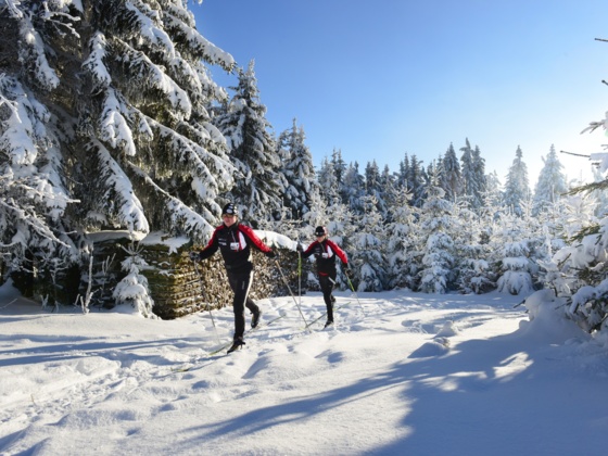 Langlaufen in Oberoesterreich