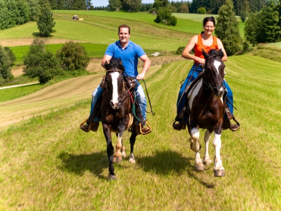Reiten