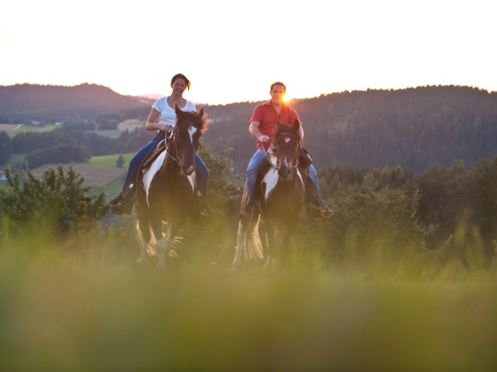 Reiten