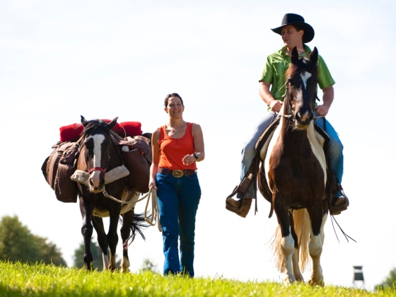 Reiten