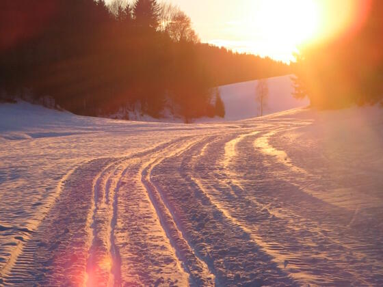 Langlaufloipe