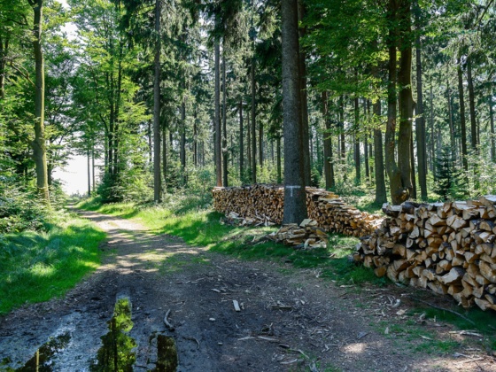 S22_Reichenauer Runde_HelgaBaier.jpg