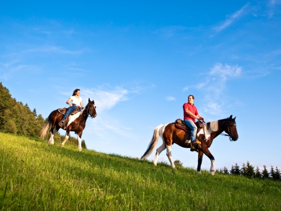 Reiten