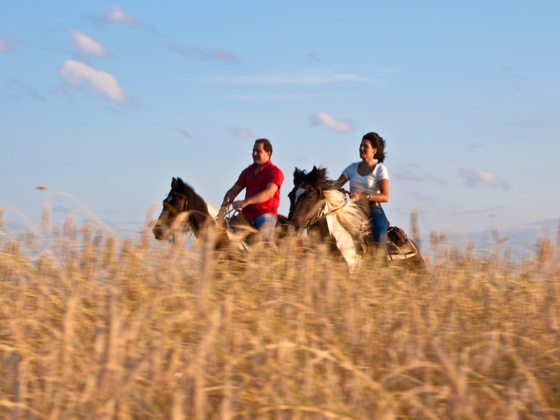 Reiten