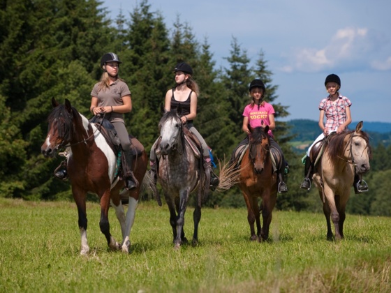 Reiten