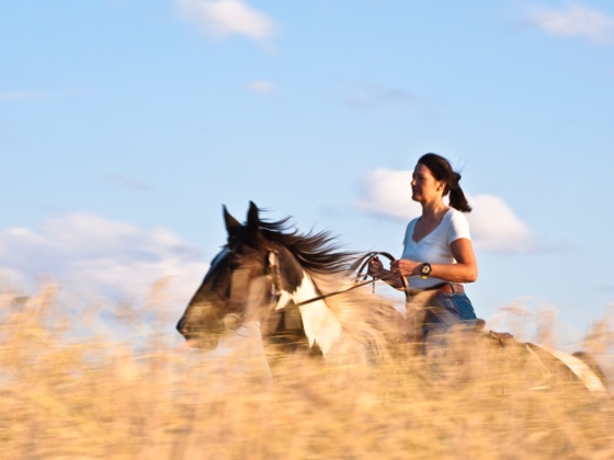 Reiten