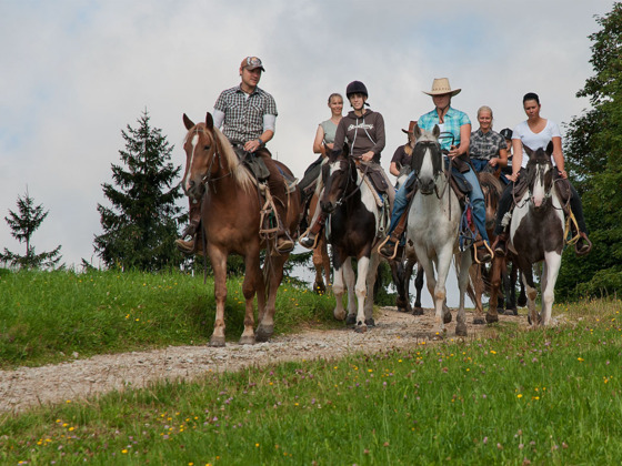 Einführungsritt StoneHill Ranch