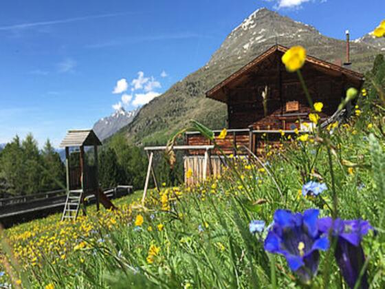 Bild1