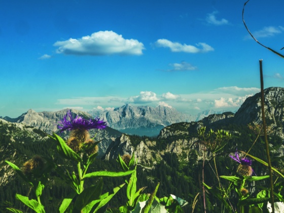 Blick auf die Zugspitze
