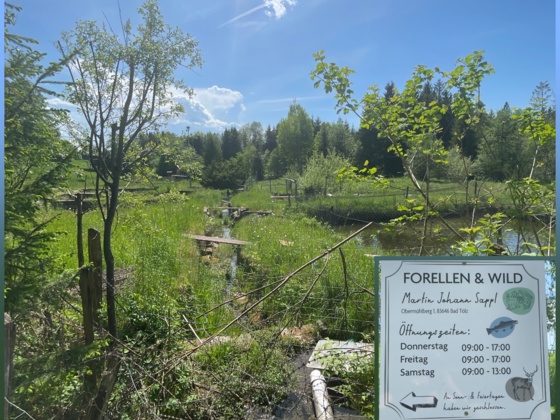 Forellenzucht Sappl am Mühlberg