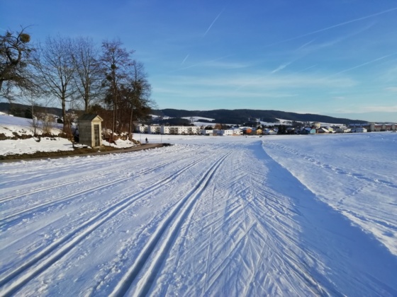 Langlaufloipe in Freistadt