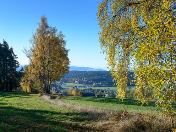 Hoch-Sumava-Tour_Helga Baier