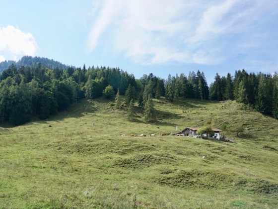 Zwerchenbergalm