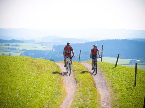 Mountainbiken in Oberoesterreich