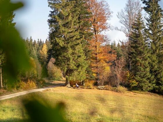 S8 Naturgenuss Weg