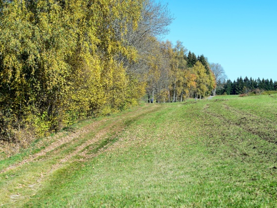 S24_Hoch2 Runde_HelgaBaier