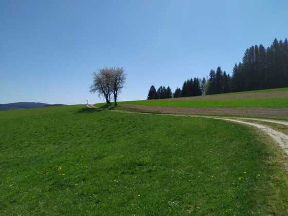 S4 Bankerlsteig
