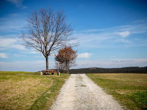 S 20 Sternwald Grenzland Runde
